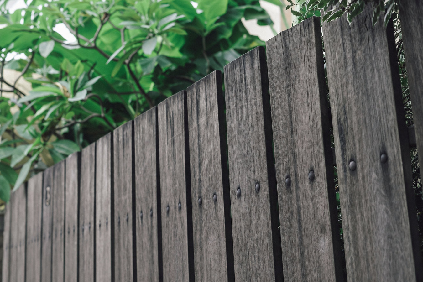 Fence replacement